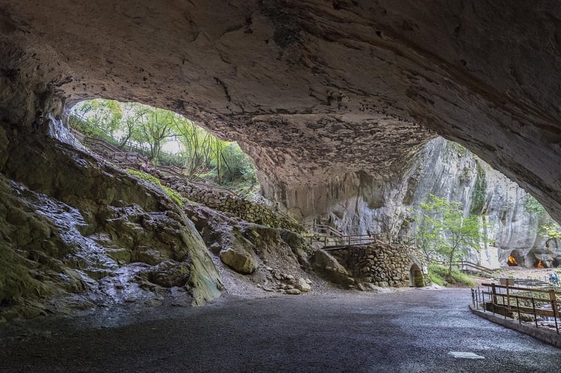 Winged Caverns